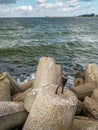 Massive concrete breakwaters Royalty Free Stock Photo