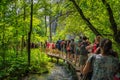 Massive crowds and queues to taking pictures at waterfalls in Plitvice Lakes