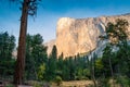 Massive El Capitan cliff as seen from Yosemite valley floor Royalty Free Stock Photo