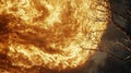 Massive Firenado Consuming Forest Landscape Royalty Free Stock Photo