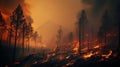Massive forest fire. catastrophic wildfire causing devastation in the woods and endangering wildlife Royalty Free Stock Photo