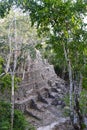 Massive mayan temple at El Mirador, Peten Guatemala