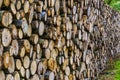 Massive pile of wood logs, tree trunk pattern background Royalty Free Stock Photo