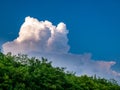Massive rain cloud, Cumulonimbus, in the blue sky above the treetops Royalty Free Stock Photo