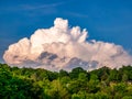 Massive rain cloud - Cumulonimbus - forming in the blue sky over wooded hill Royalty Free Stock Photo