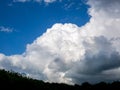 Massive rain cloud, Cumulus congestus, over the horizon with a dark outline of the treetops Royalty Free Stock Photo