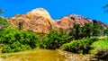 Bridge Mountain viewed from the Pa`rus Trail in Zion National Park, UT, USA Royalty Free Stock Photo