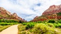 The Massive Red, Pink and Cream  Sandstone Cliffs viewed from the Pa`rus Trail in Zion National Park, Utah Royalty Free Stock Photo