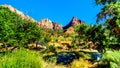 The Watchman and Bridge Mountain viewed from the Pa`rus Trail in Zion National Park, UT, USA Royalty Free Stock Photo