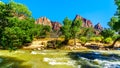 The Watchman and Bridge Mountain viewed from the Pa`rus Trail in Zion National Park, UT, USA Royalty Free Stock Photo