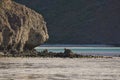 Massive rock formation on Balandra beach. La Paz, Mexico.