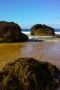 Massive rocks on beach at Port Macquarie Australia