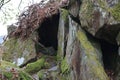 A massive rocks in the park of Snowdonia Royalty Free Stock Photo