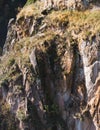 Massive rocky cliff with texture overgrown with vegetation in the mountains in October