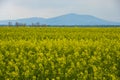 Massive of Sleza mountain near Wroclaw