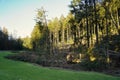 Massive storm damages in a forest with a swathe of destruction