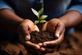 Massive tree planting for climate change preserving green spaces for future generations