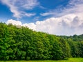 Massive wall of clouds, Cumulus congestus or towering cumulus, over the forest horizon Royalty Free Stock Photo