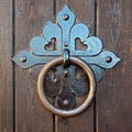 Massy iron door knocker Royalty Free Stock Photo