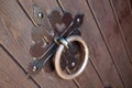 Massy iron door knocker Royalty Free Stock Photo