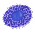 Mast cell, tissue cell of the immune system.