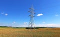 Mast electrical power line in a wheat field Royalty Free Stock Photo