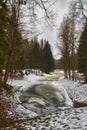 Mast pines and high birches in the gloomy winter, snow-covered park, art processing. Royalty Free Stock Photo