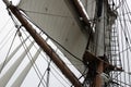 Mast and sail