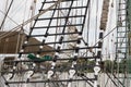 Mast of ship Detailed rigging with sails vintage sailing ship block and tackle Royalty Free Stock Photo