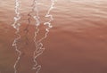 Mast water reflections background toned in Living Coral shade Royalty Free Stock Photo
