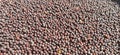 Mastard seed image in market Royalty Free Stock Photo