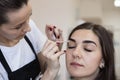 The master applies wax to depilate the hair of the eyebrows. Royalty Free Stock Photo