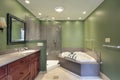 Master bath with green walls Royalty Free Stock Photo