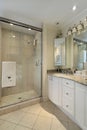 Master bath in luxury home Royalty Free Stock Photo