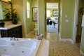 Master Bath Room Royalty Free Stock Photo