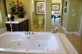 Master Bath Room Royalty Free Stock Photo