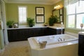 Master Bath Room Royalty Free Stock Photo