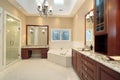 Master bath with skylights Royalty Free Stock Photo