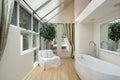 Master bath with skylights Royalty Free Stock Photo