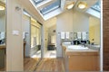 Master bath with skylights Royalty Free Stock Photo