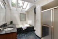 Master bath with skylights Royalty Free Stock Photo