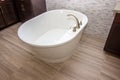 Master Bathroom Oval Bath Tub Royalty Free Stock Photo