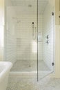 Master Bathroom Shower Royalty Free Stock Photo