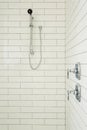 Master Bathroom Shower Royalty Free Stock Photo