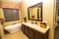 Master Bathroom With Vanity, Bath Tub And Mirror Royalty Free Stock Photo