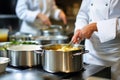 Master chef cook woman hands precisely cooking dressing preparing tasty fresh delicious mouthwatering gourmet dish food Royalty Free Stock Photo