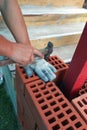 The master at the construction site is laying a brick laying Royalty Free Stock Photo