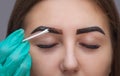 Master corrects makeup, it gives shape and color the eyebrows henna in a beauty salon, Spa. Royalty Free Stock Photo