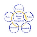 Master Data Management