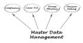 Master Data Management